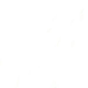 Meet your Posher, Tamara